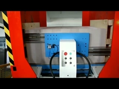 গাদা টার্নার