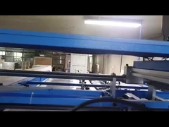 DS 14501650 স্বয়ংক্রিয় ডাবল পিল ফ্লিপ ফ্লপ স্ট্যাকার